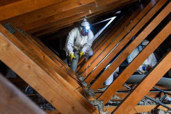 attic-clean-out-rodent-control-service (1)