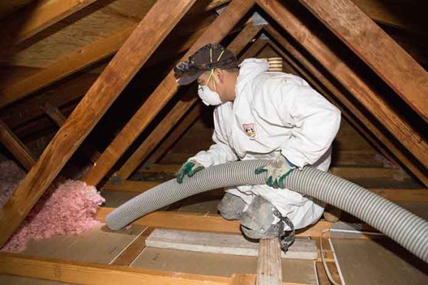 attic-insulation-removal-during (1)